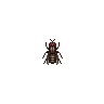 ACWW Fly.png