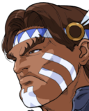Portrait SFA3 THawk.png