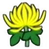 DogIsland chrysanthemum.png