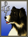 FFVIII Angelo GF card.png