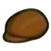 DogIsland brownhuntingcap.png