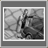 PWAA crimephoto.png