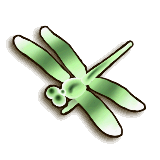 LoZ TP male dragonfly.png