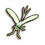 LoZ TP male dayfly.png