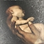 ACII The Birth of an Assassin achievement.jpg