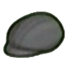 DogIsland blackhuntingcap.png