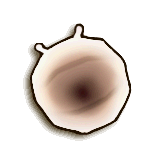 LoZ TP female pill bug.png
