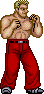 SF1Joe.png