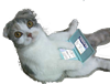 Catz Rulez