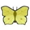 DogIsland brimstonebutterfly.png