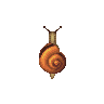ACWW Snail.png