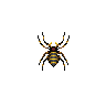 ACWW Spider.png
