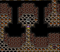 FF4 WT Mc.jpg