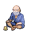 Pokemon FRLG Gamer.png
