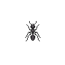 ACWW Ant.png
