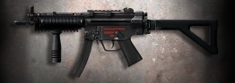 CA MP5RAS.jpg