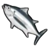 DogIsland albacore.png
