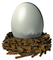 OOT pocketegg.jpg