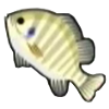 DogIsland bluegill.png