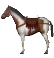 Mount&Blade horse Saddle Horse2.png