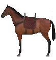 Mount&Blade horse Hunter.png