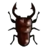 DogIsland brownscissorsbeetle.png
