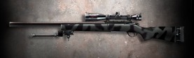 CA M24-Woodland.jpg