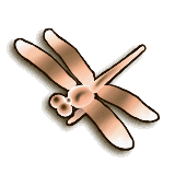 LoZ TP female dragonfly.png
