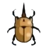 DogIsland elephantbeetle.png