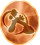 FFR Token 33 Orange FFR.png