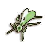 LoZ TP male ant.png