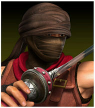 SC Assassin.jpg