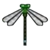 DogIsland asiandragonfly.png