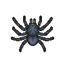 ACWW Tarantula.png