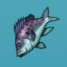 Aquaria fish-02.png