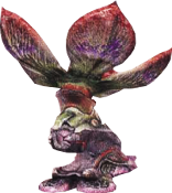 Rafflesia