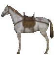 Mount&Blade horse Steppe Horse.png