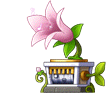 MS NPC Music Box.png