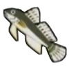 DogIsland brownfish.png