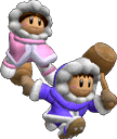 SSBM Trophy Ice Climbers Smash1.png