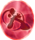 FFR Token 35 Red FFR.png