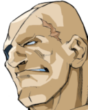 Portrait SFA3 Sagat.png
