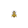 ACWW Honeybee.png