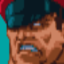 Portrait SFEX MBison.png