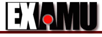 Examu's company logo.
