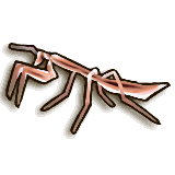 LoZ TP female mantis.png