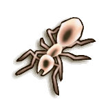 LoZ TP female ant.png