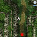 Mini-map