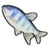 DogIsland bluefish.png