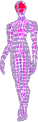 SSBM Trophy Female Wire Frame.png
